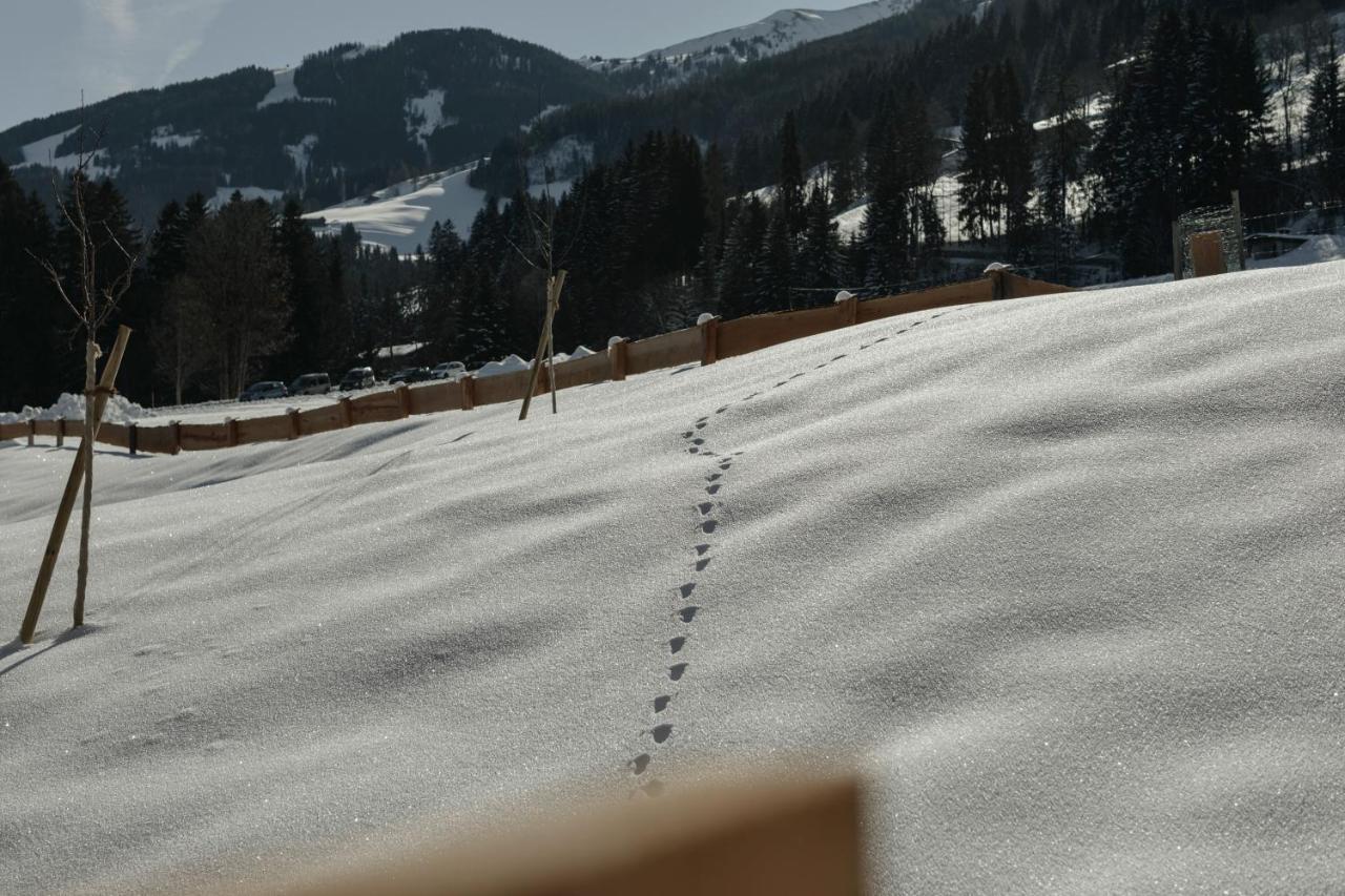 Hygna Chalets Reith im Alpbachtal Εξωτερικό φωτογραφία